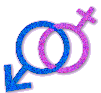 he_she.gif (48516 bytes)